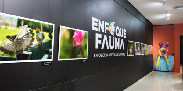 Museo Natural anuncia segunda edición del concurso fotográfico: “Enfoque fauna”